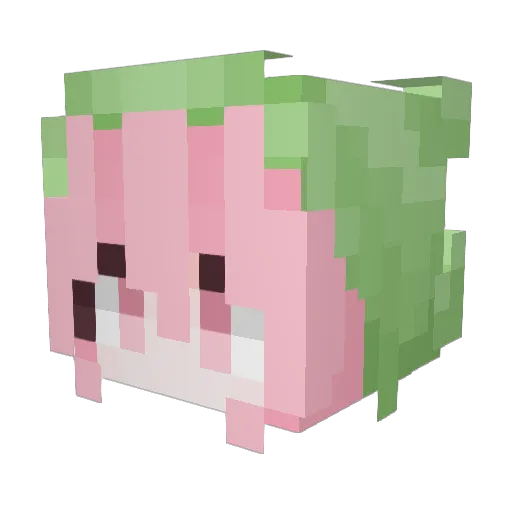 DDGW Minecraft avatar head, 3D render