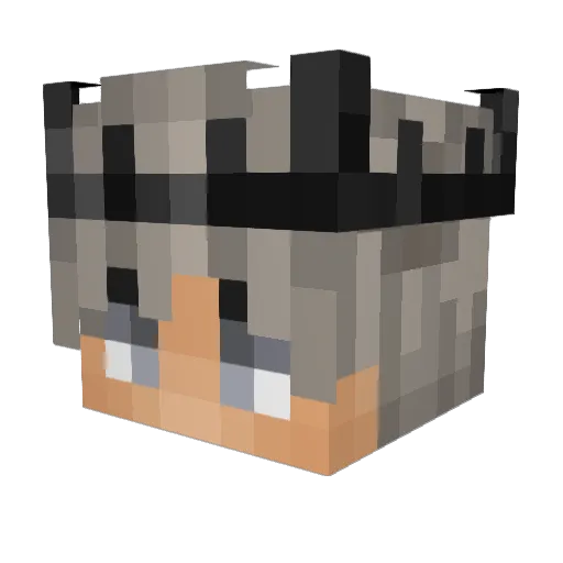 DDHOUSTON Minecraft avatar head, 3D render