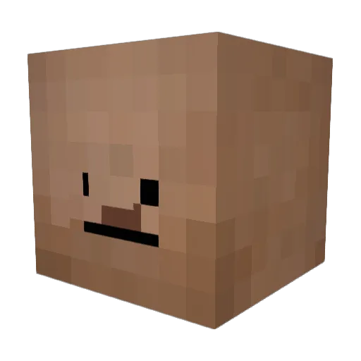DDN123 Minecraft avatar head, 3D render