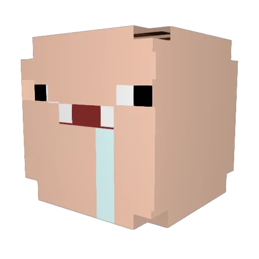 DDOA1 Minecraft avatar head, 3D render