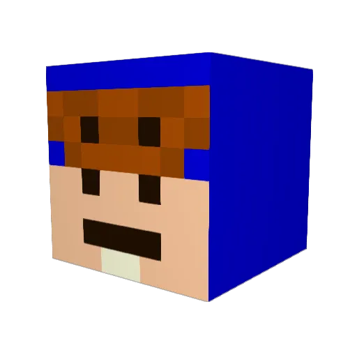 DDONG_MAL_YEO Minecraft avatar head, 3D render