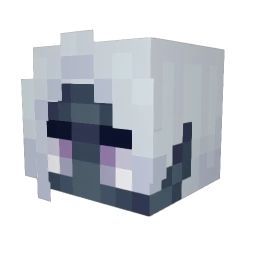 DDONULD Minecraft avatar head, 3D render