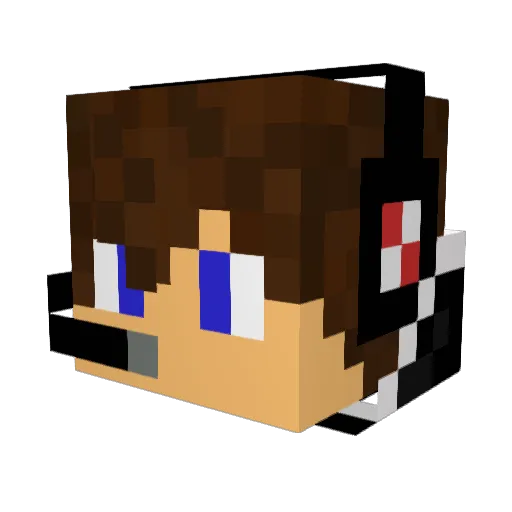 DDP21 Minecraft avatar head, 3D render