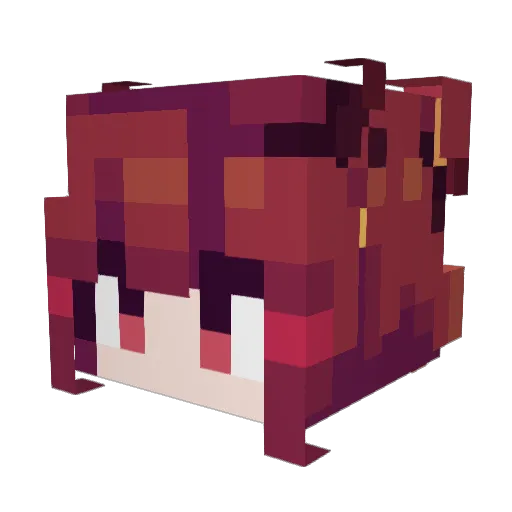 DDSEDDTTDDCC Minecraft avatar head, 3D render