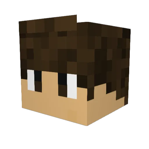 DDTPE Minecraft avatar head, 3D render