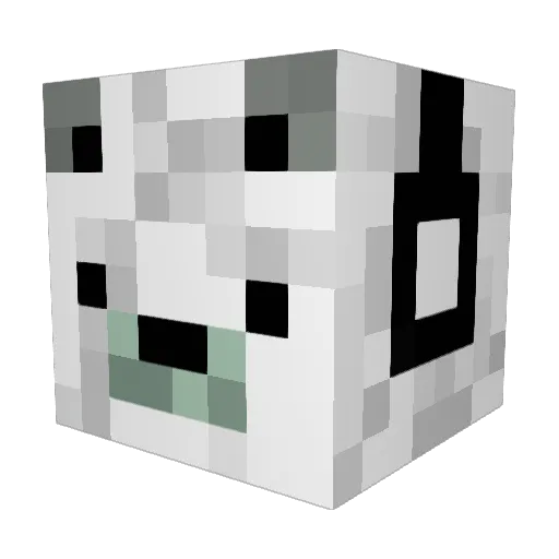 DDTin Minecraft avatar head, 3D render
