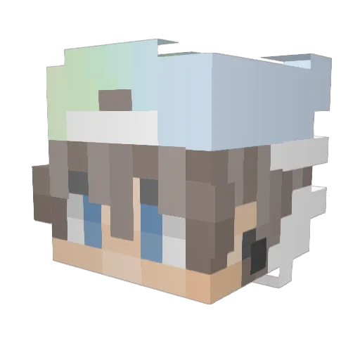 DD_T2 Minecraft avatar head, 3D render