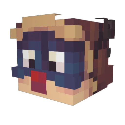 DDereelcodeisnt Minecraft avatar head, 3D render