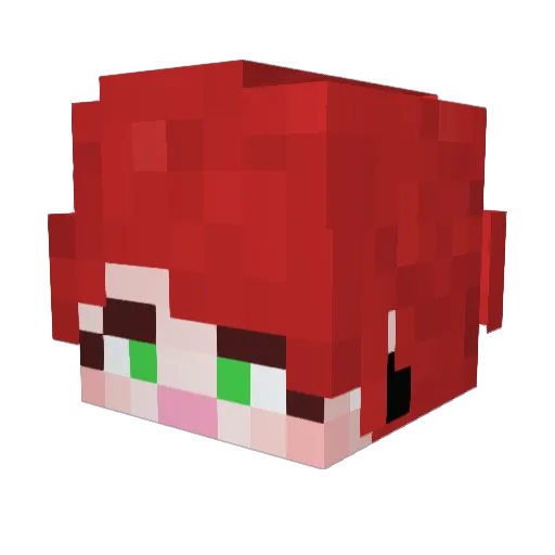 DDo_nut Minecraft avatar head, 3D render