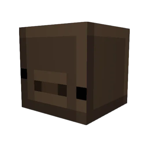 DDoongdon Minecraft avatar head, 3D render