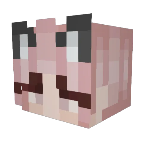 DDory5 Minecraft avatar head, 3D render