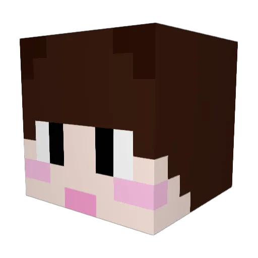 DDotty1010 Minecraft avatar head, 3D render