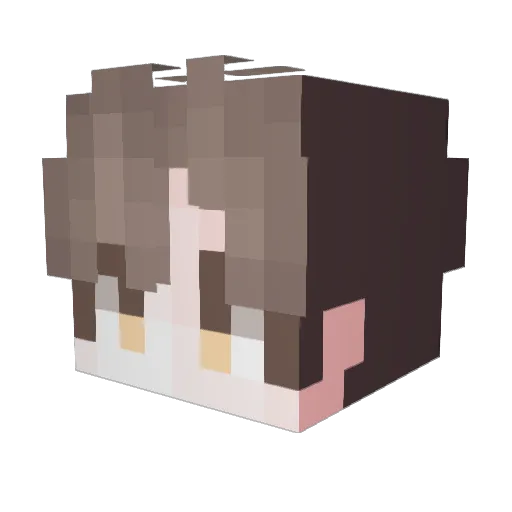 DDungza Minecraft avatar head, 3D render