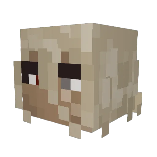 DE51DER1UM Minecraft avatar head, 3D render