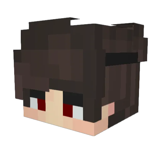 DEADBIRD7 Minecraft avatar head, 3D render