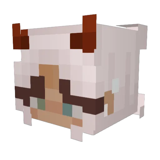 DEADOPPOSITION Minecraft avatar head, 3D render
