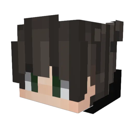 DEATH_Elias_ Minecraft avatar head, 3D render