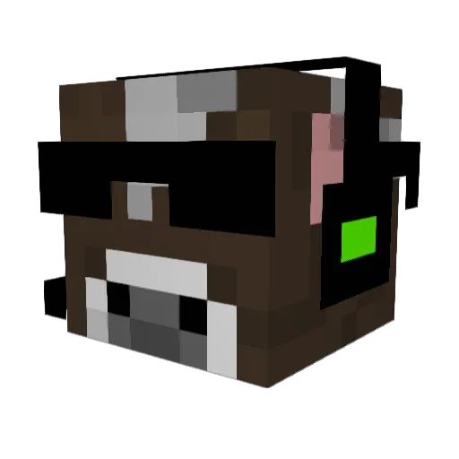 DEATH_W1SH Minecraft avatar head, 3D render