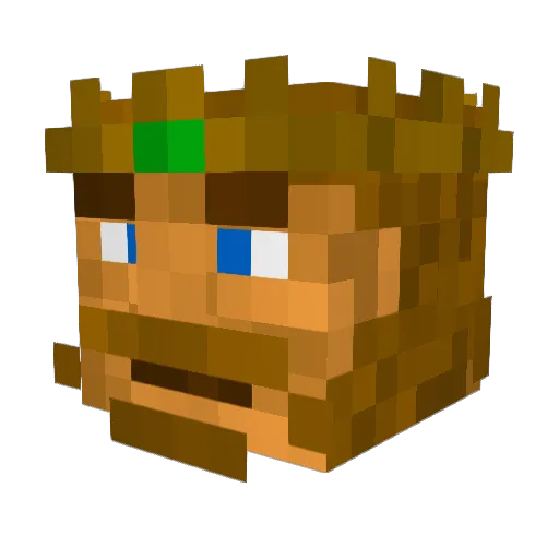 DEBLAKE Minecraft avatar head, 3D render
