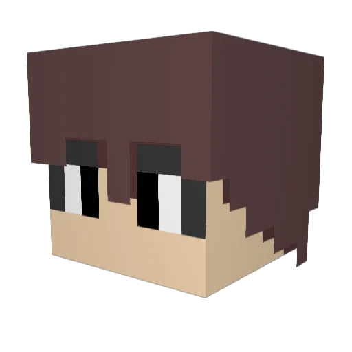 DECADEjourney24 Minecraft avatar head, 3D render