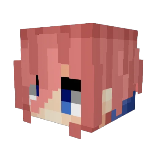 DEEDUNDUS Minecraft avatar head, 3D render
