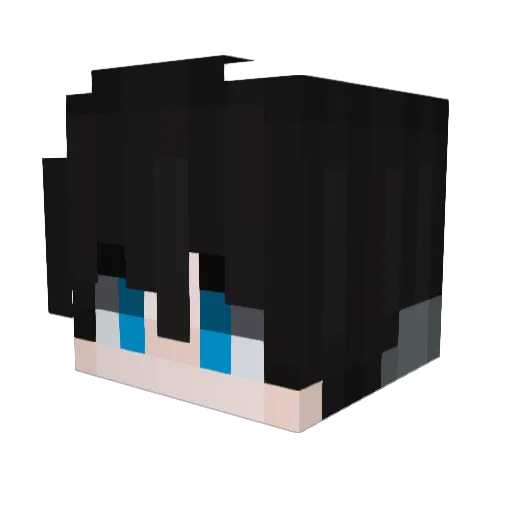 DEEIM Minecraft avatar head, 3D render