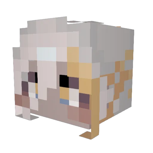 DEEPOCEAN1124 Minecraft avatar head, 3D render