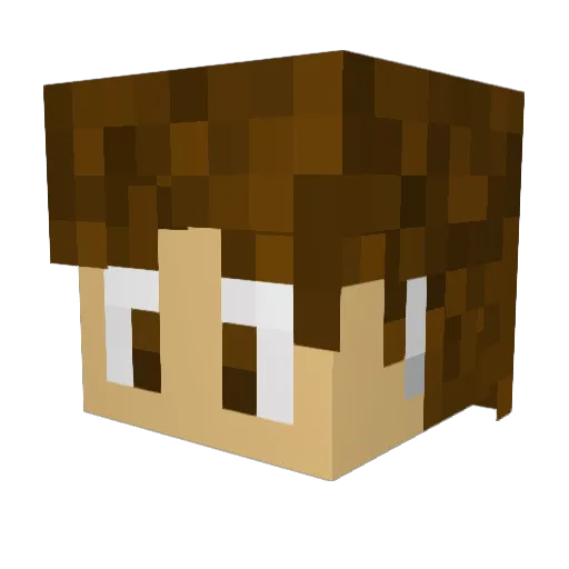 DEF34 Minecraft avatar head, 3D render