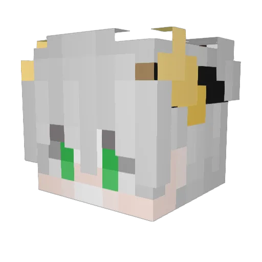 DEG0SACH0 Minecraft avatar head, 3D render