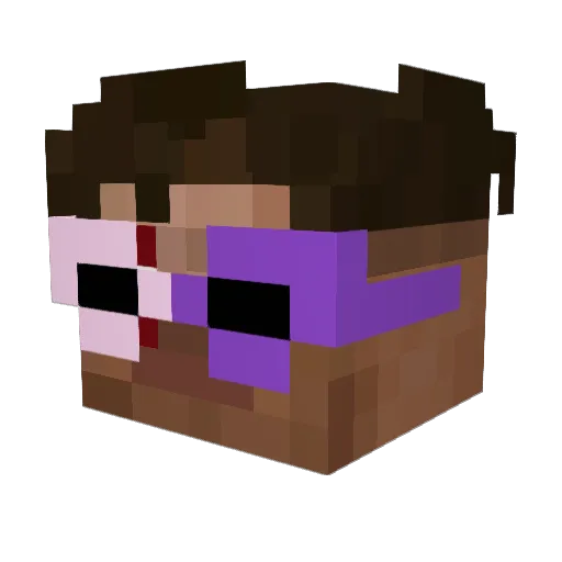 DELETEACCOUNT382 Minecraft avatar head, 3D render