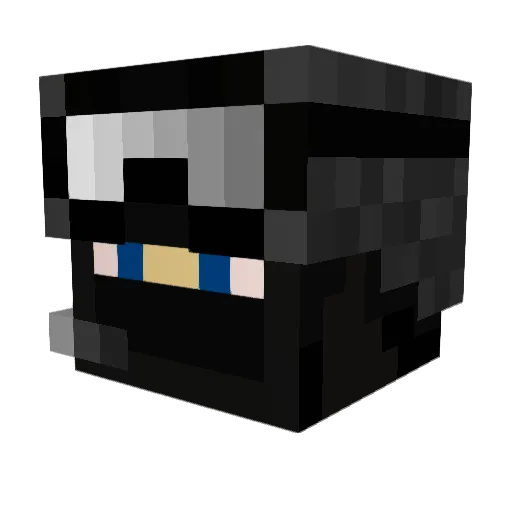 DELTAfireteam Minecraft avatar head, 3D render