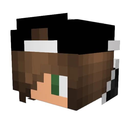 DEMA_DCU Minecraft avatar head, 3D render