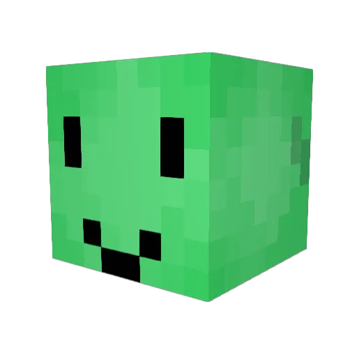 DEMTurtlesFTW Minecraft avatar head, 3D render