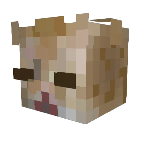 DENGE34 Minecraft avatar head, 3D render