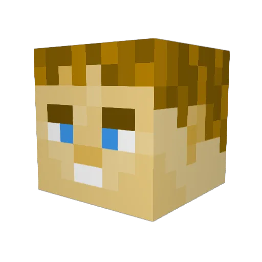 DENILE25 Minecraft avatar head, 3D render