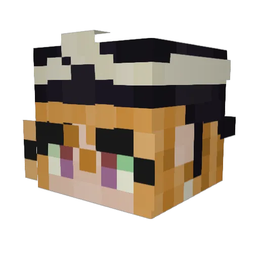 DENJISnow Minecraft avatar head, 3D render