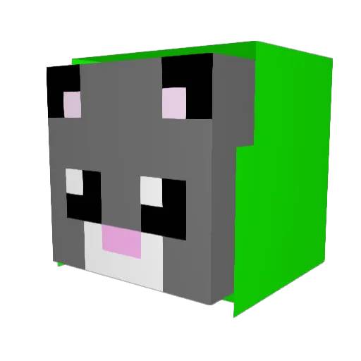 DERPLOLUS Minecraft avatar head, 3D render