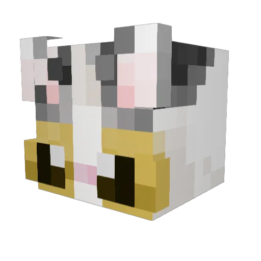 DESIREDDOSE Minecraft avatar head, 3D render
