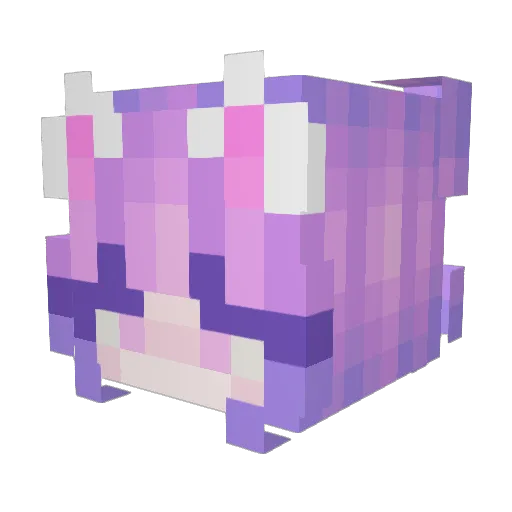 DES_bani Minecraft avatar head, 3D render