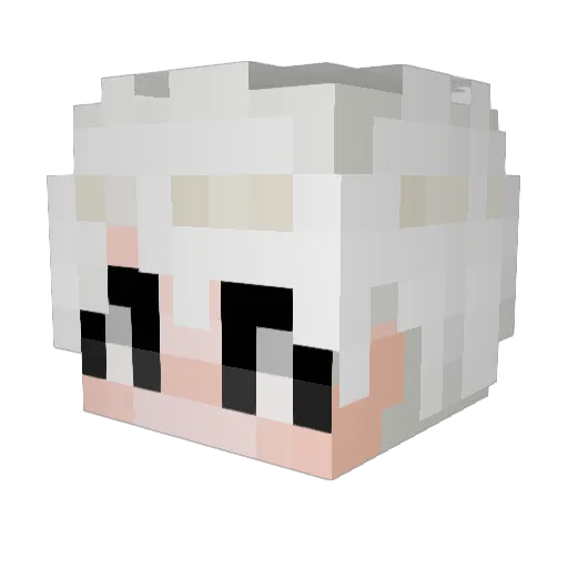 DES_motti Minecraft avatar head, 3D render