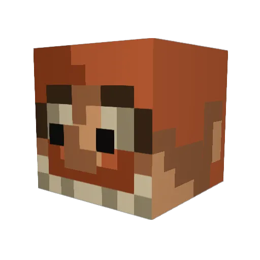 DETG_ Minecraft avatar head, 3D render