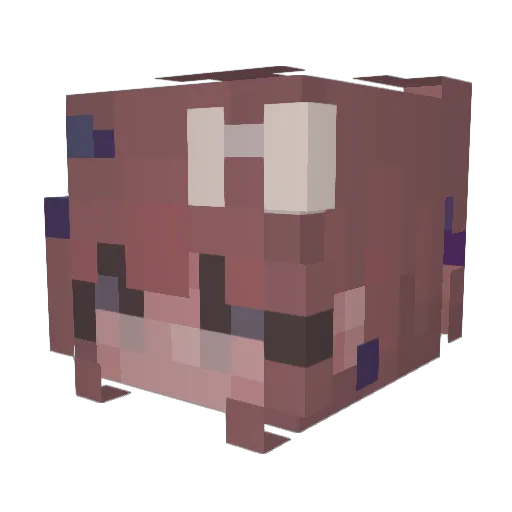 DEVAR9 Minecraft avatar head, 3D render