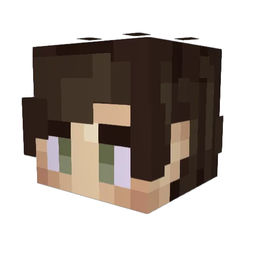 DEW_Bert Minecraft avatar head, 3D render