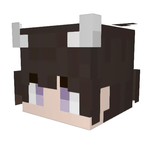 DEXBlackout Minecraft avatar head, 3D render