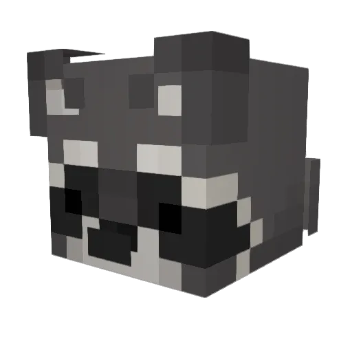 DEXTERo_o Minecraft avatar head, 3D render