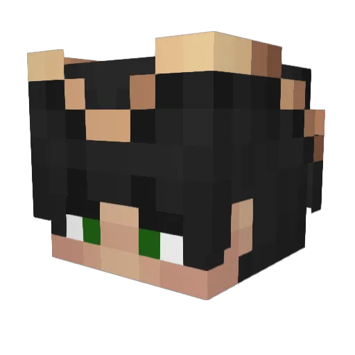 DEemerolED Minecraft avatar head, 3D render