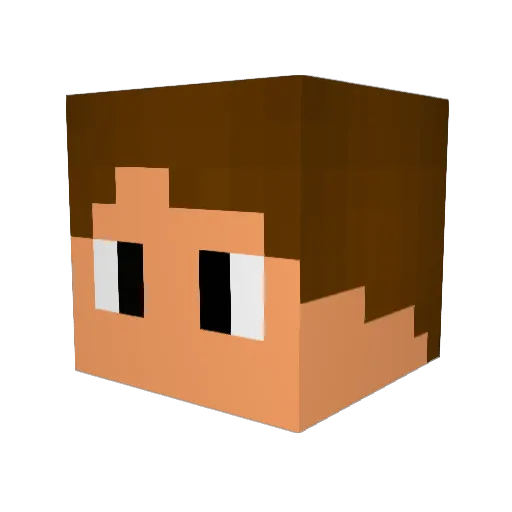 DFGames1 Minecraft avatar head, 3D render