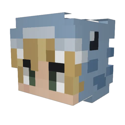 DFORDUSSY Minecraft avatar head, 3D render