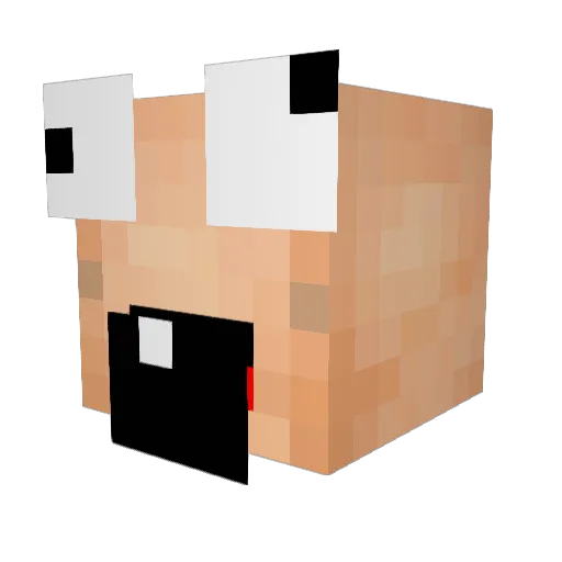 DFReeny420 Minecraft avatar head, 3D render