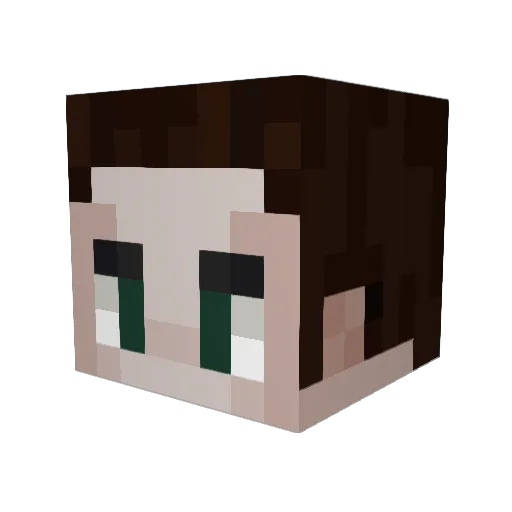 DFSxHunter Minecraft avatar head, 3D render